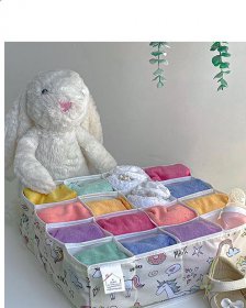 ارگانایزر توکشویی مدل kids