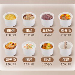 پلوپز دیجیتال چندکاره SPHE مدل smart